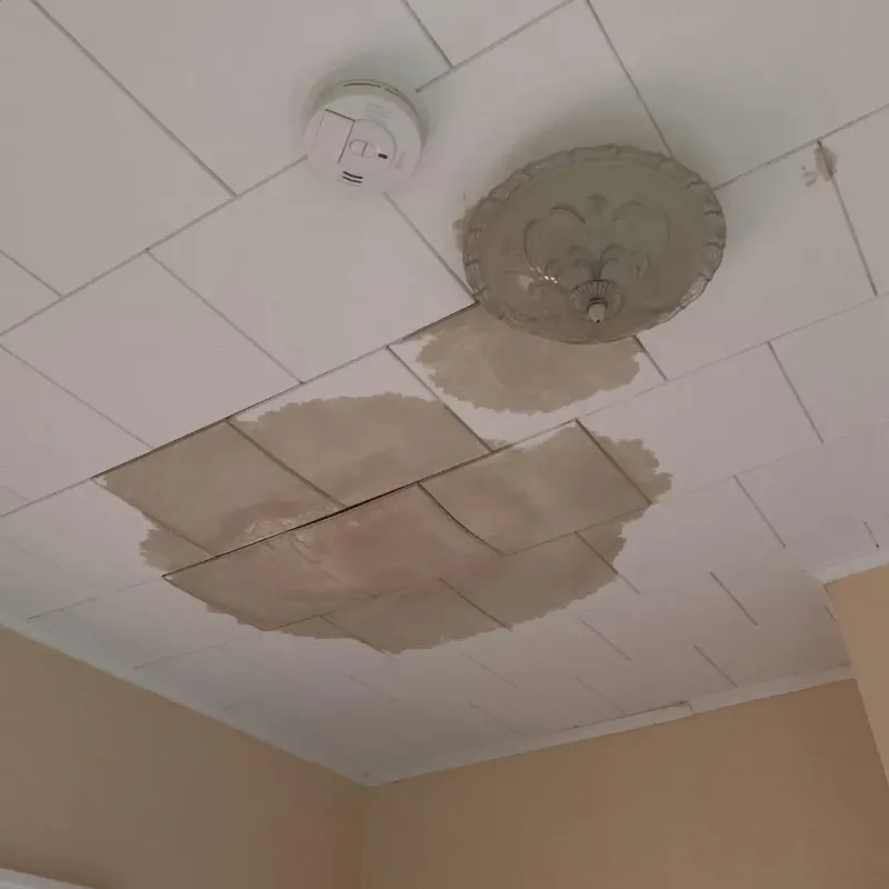 Ceiling Water Damage Repair in Plainview, TX