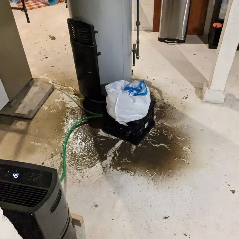 Sewage Backup Cleanup Service in Plainview, TX
